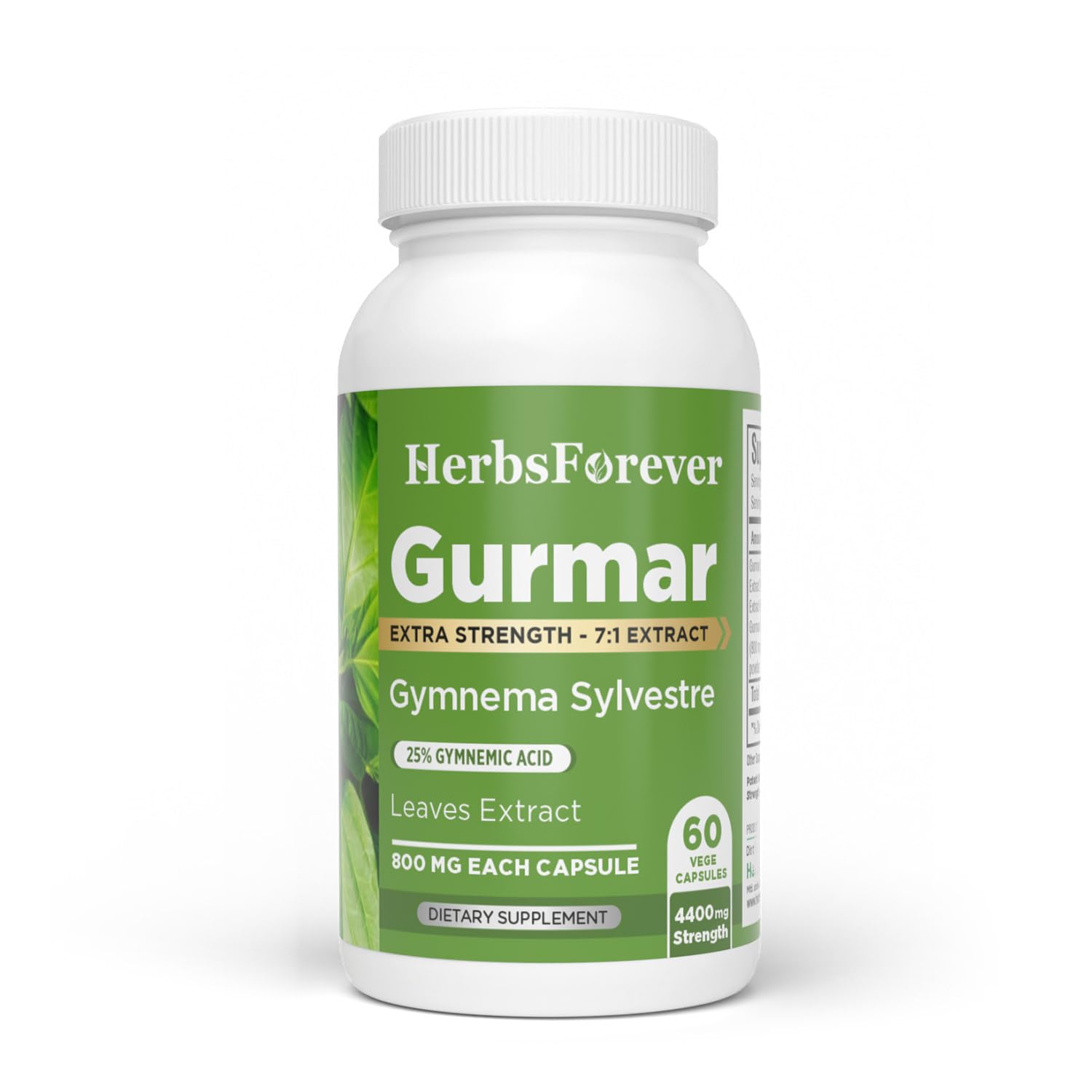 Herbsforever Gurmar 1